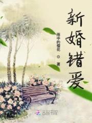 24K纯爱：CEO的错误婚姻