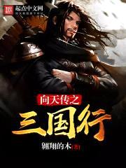 向天传之三国行