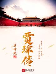 贾琮传