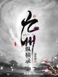 九州纵横录