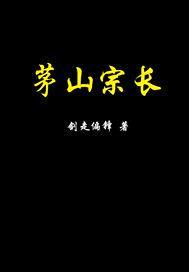 茅山宗长