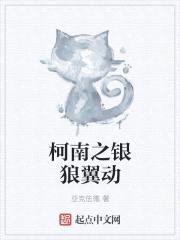 柯南之银狼翼动