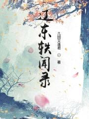 辽东轶闻录