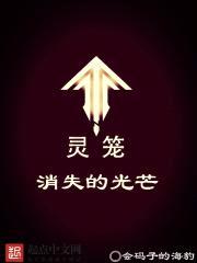 灵笼:消失的光芒