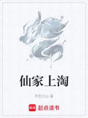 我其实只是一个客服