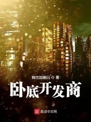 卧底开发商