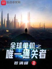 全球单机之唯一通关者