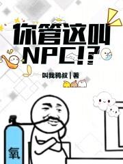 你管这叫NPC!?