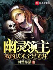 幽灵领主：我的法术全是光环