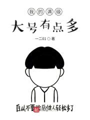 我的满级大号有点多11