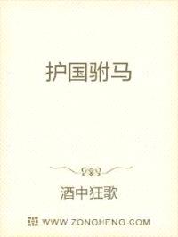 护国驸马