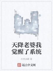 天降老婆我觉醒了系统