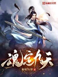 魂定九天