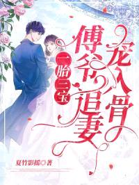 一胎三宝:傅爷,追妻宠入骨