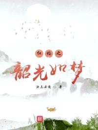 红楼之韶光如梦