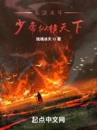 少帝纵横三国