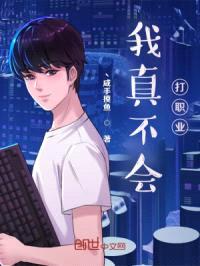 我真不会打职业