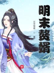 明末赘婿