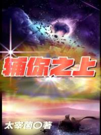 辅你之上