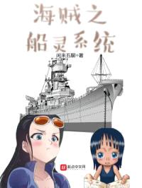 海贼之船灵系统