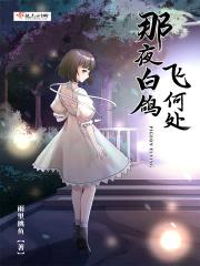 那夜白鸽飞何处