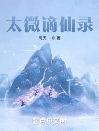 太微谪仙录