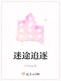 迷途追逐