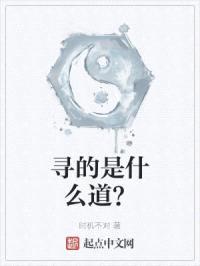 寻的是什么道?