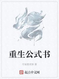 重生公式书