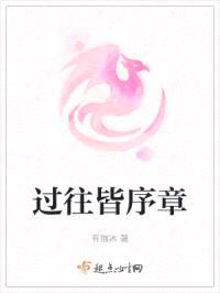 过往皆序章