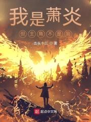 我是萧炎,但主角不是我