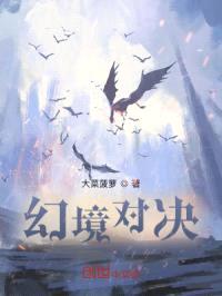 幻境对决