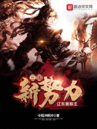 三国新势力:辽东我称王
