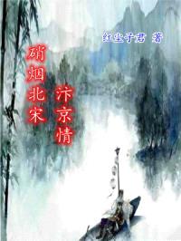 硝烟北宋汴京情