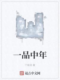 一品中年