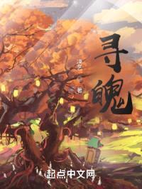 寻魄