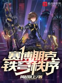 赛博朋克:铁穹秩序