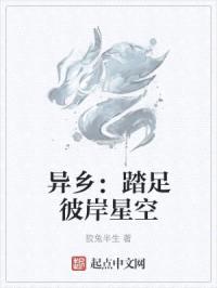 异乡:踏足彼岸星空