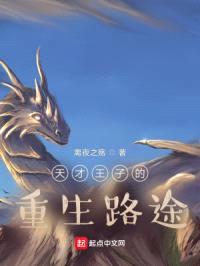 天才王子的重生路途