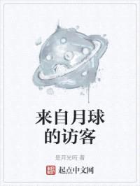 来自月球的访客