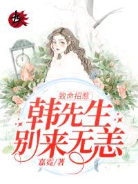 致命招惹:韩先生,别来无恙