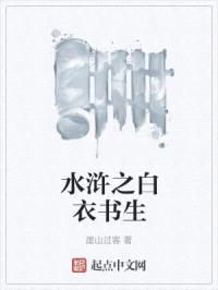 水浒之白衣书生