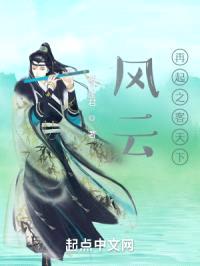 风云再起之客天下