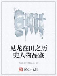 见龙在田之历史人物品鉴