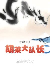 胡莱大队长