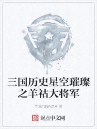 三国历史星空璀璨之羊祜大将军