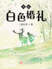 hp白色婚礼