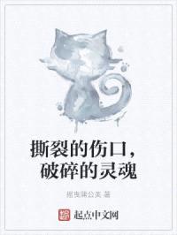 撕裂的伤口，破碎的灵魂