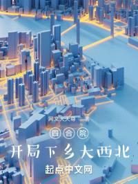 四合院:开局下乡大西北