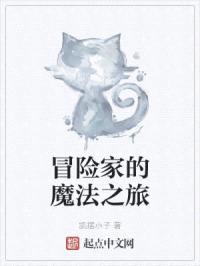 冒险家的魔法之旅